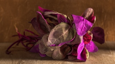 Verdețuri de primăvară. Beneficiile consumului de lobodă