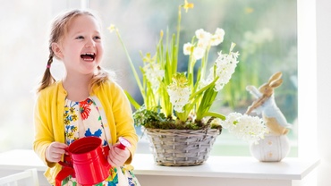 Semnificaţia florilor de primăvară și câteva trucuri de îngrijire