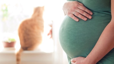 Sarcina, copilul şi pisica. Trebuie să renunţ la pisică pentru bebe?