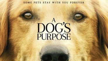 20 de filme artistice de văzut în familie (partea a II-a)