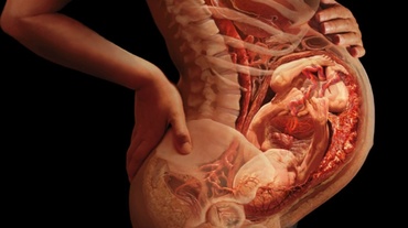 Călătoria unui copil, de la concepţie până la naştere. Video impresionant