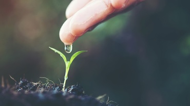 Mai mult ca prezentul