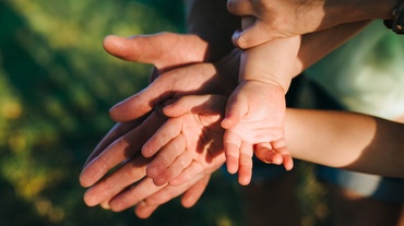 Ce-și dorește puiul tău în fiecare zi? Doar vreo trei lucruri esențiale.