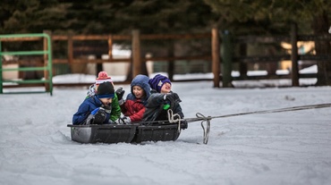 Școlile vor fi închise vineri în București! Ce se întâmplă cu celelalte judeţe