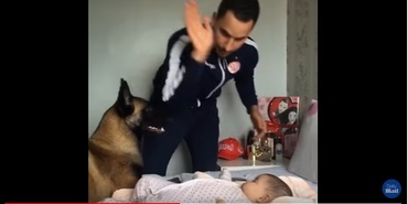 Când tatăl îşi „pedepseşte” bebele, câinele… ce credeţi? Video viral