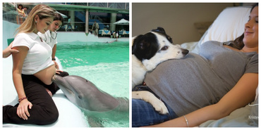 Când necuvântătoarele aşteaptă venirea pe lume a bebeluşilor – Foto emoţionante