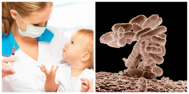 Cum funcţionează vaccinurile? Este esenţial să ştim aceste informaţii