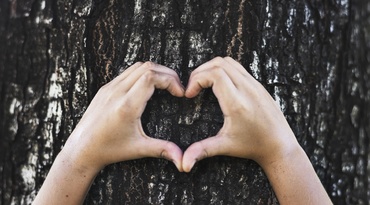 Manifest pentru fapte mici, dar bune