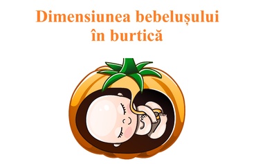 Cât de mare e bebelușul din burtică, în comparație cu un fruct