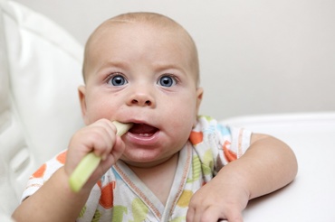 Țelina – când se introduce în alimentația bebelușului și ce beneficii oferă