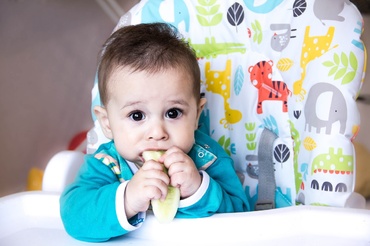 Castravetele - când se introduce în alimentația bebelușului și ce beneficii oferă