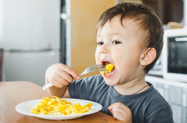 Consumul de ouă. Câte ouă poate mânca copilul într-o zi?
