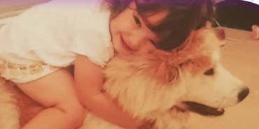 Adoptăm sau nu un animal? Riscuri vs. Beneficii