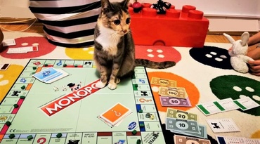 10 jocuri inventate de noi sau de alții, care ne-au făcut zilele mai frumoase