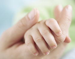 Rana provocata de aschii