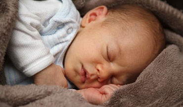 Doarme toata ziua, iar noaptea este treaz