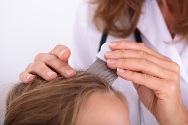 Conform Academiei Americane de Pediatrie, păduchii nu reprezintă un motiv întemeiat ca elevii să lipsească de la școală