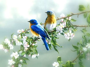 Cantec de primavara de St O Iosif