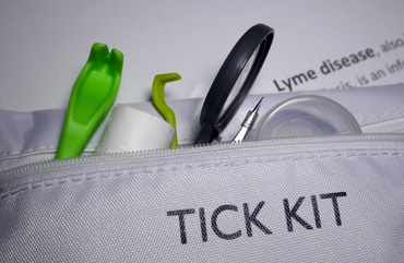 Sezonul căpușelor și copiii. Ce pui în trusa de prim ajutor când mergi la parc