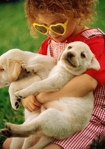 Catelusii si copilasii, prieteni sau dusmani