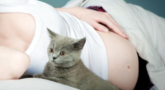Toxoplasmoza  - simptome si tratament