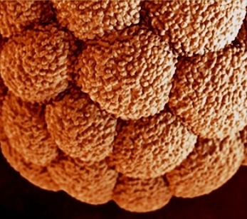 Saptamana 2 de sarcina