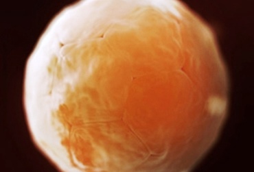 Saptamana 3 de sarcina