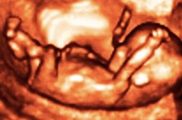 Saptamana 13 de sarcina