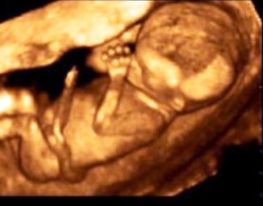 Saptamana 14 de sarcina