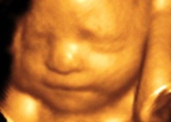 Saptamana 27 de sarcina