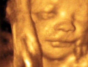 Saptamana 29 de sarcina