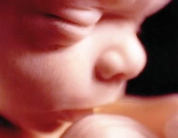 Saptamana 30 de sarcina