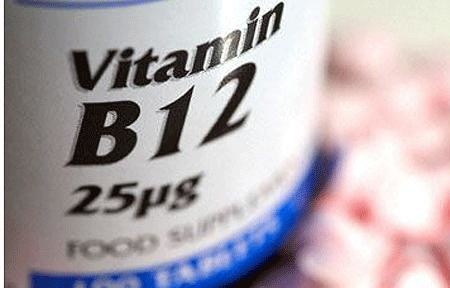 Dieta vegetariana si sarcina