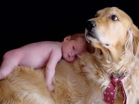 Aptitudini uluitoare ale bebelusilor