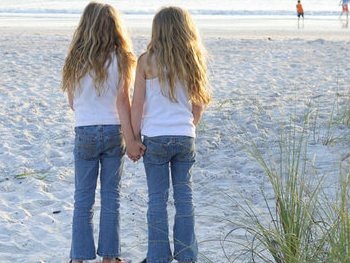 Gemenii - o alta fata a naturii umane