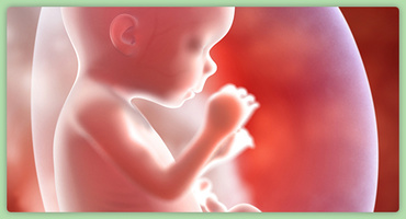 Achizitii ale copilului in etapa prenatala