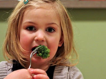 Alimentele inteligentei (I)