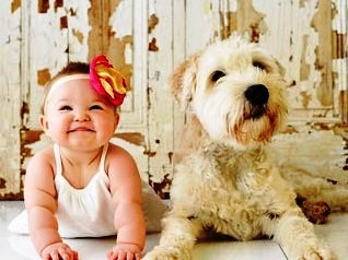 Catelul familiei, sanatos pentru copil