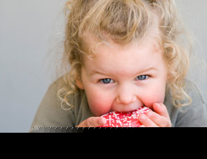 Micul dolofan, adultul obez