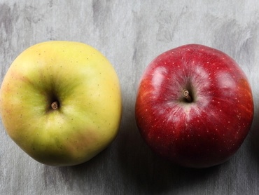 Marul in alimentatia copilului