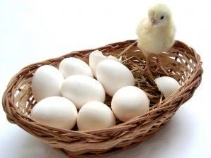 Cinci intrebari, cinci raspunsuri despre conceperea copiilor