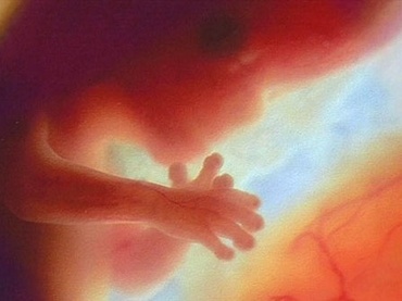 Totul despre a treia luna de sarcina