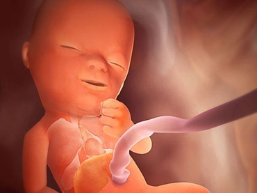 Totul despre a patra luna de sarcina