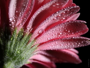 Trei indicatori ai infertilitatii feminine