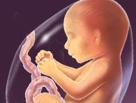 Totul despre a sasea luna de sarcina