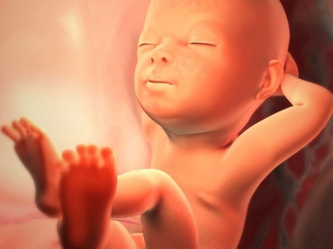 Totul despre a saptea luna de sarcina