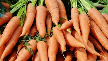 Morcovii in alimentatia copilului