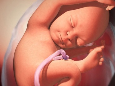 Totul despre a opta luna de sarcina 