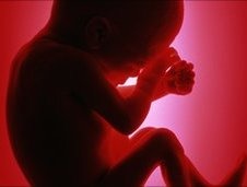 Alimentatia poate infuenta ADN-ul fatului