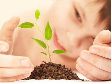 Plante recomandate copiilor